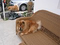 20121110_Cusca_Avalanche (43)